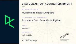 Data Scientist in Python